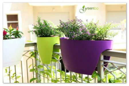 greenbo G P v1(copy)(copy)(copy)(copy)